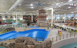 Great Wolf Lodge Water Park | Minnesota