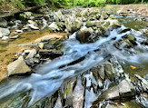 Scott’s Run Nature Preserve