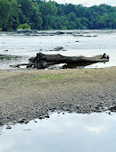 Scott’s Run Nature Preserve