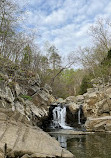 Scott’s Run Nature Preserve