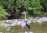 Scott’s Run Nature Preserve