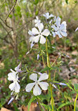 Scott’s Run Nature Preserve