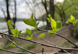 Scott’s Run Nature Preserve