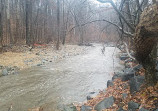 Scott's Run Nature Preserve East Entrance