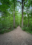 Scott's Run Nature Preserve East Entrance