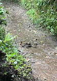 Scott's Run Nature Preserve East Entrance