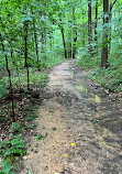 Scott's Run Nature Preserve East Entrance