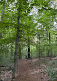 Scott's Run Nature Preserve East Entrance