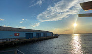 Brooklyn Bridge Park Ferry