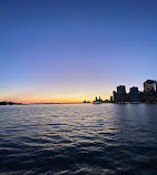 Brooklyn Bridge Park Ferry