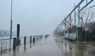 Brooklyn Bridge Park Ferry