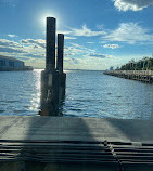 Brooklyn Bridge Park Ferry