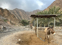 Fujairah Adventures Sentieri escursionistici di Al Dahir