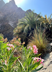 Fujairah Adventures Sentieri escursionistici di Al Dahir