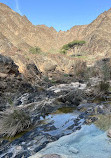 Fujairah Adventures Sentiers de randonnée d'Al Dahir