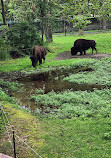 Van Saun County Park