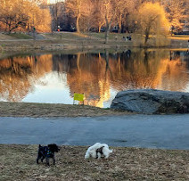 Harlem Meer