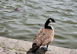 Harlem Meer