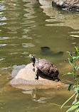 Harlem Meer