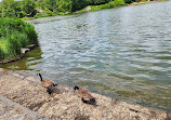 Harlem Meer