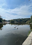 Harlem Meer