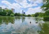 Harlem Meer