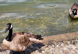 Harlem Meer