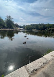 Harlem Meer