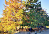 Harlem Meer