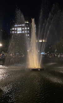 Washington Meydanı Çeşmesi