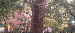 Washington Square Fountain