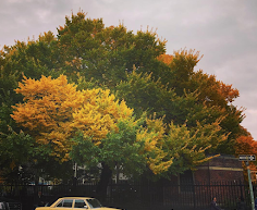 Stuyvesant Square Park