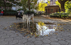 Stuyvesant Square Park