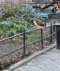 Stuyvesant Square Park