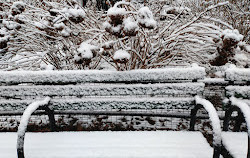 Stuyvesant Square Park