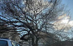 Stuyvesant Square Park