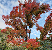 Stuyvesant Square Park