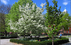 Stuyvesant Square Park