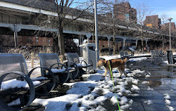 Parque Stuyvesant Cove