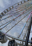 The Capital Wheel