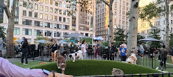 Fontana di Madison Square