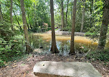 Hatcher Garden and Woodland Preserve