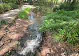 Hatcher Garden and Woodland Preserve