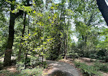 Hatcher Garden and Woodland Preserve