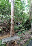 Hatcher Garden and Woodland Preserve