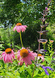 Hatcher Garden and Woodland Preserve