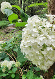 Hatcher Garden and Woodland Preserve