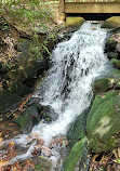 Hatcher Garden and Woodland Preserve