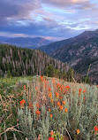 Nebo Loop National Scenic Byway