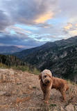 Nebo Loop National Scenic Byway